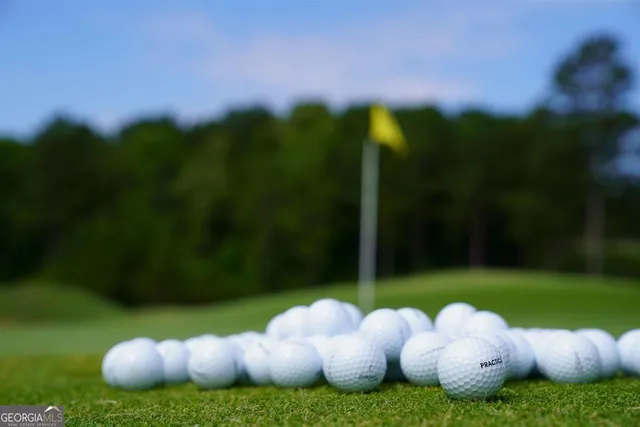 $884,900 | 1800 Osprey Poynte, Greensboro, GA 30642