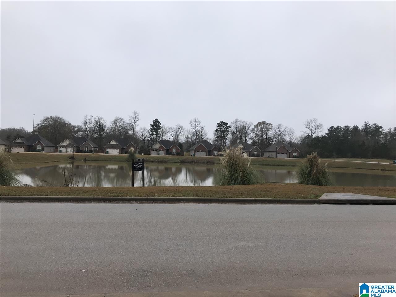 2050 Hidden Forest Lane Montevallo, AL 35115 - Photo 39 of 46