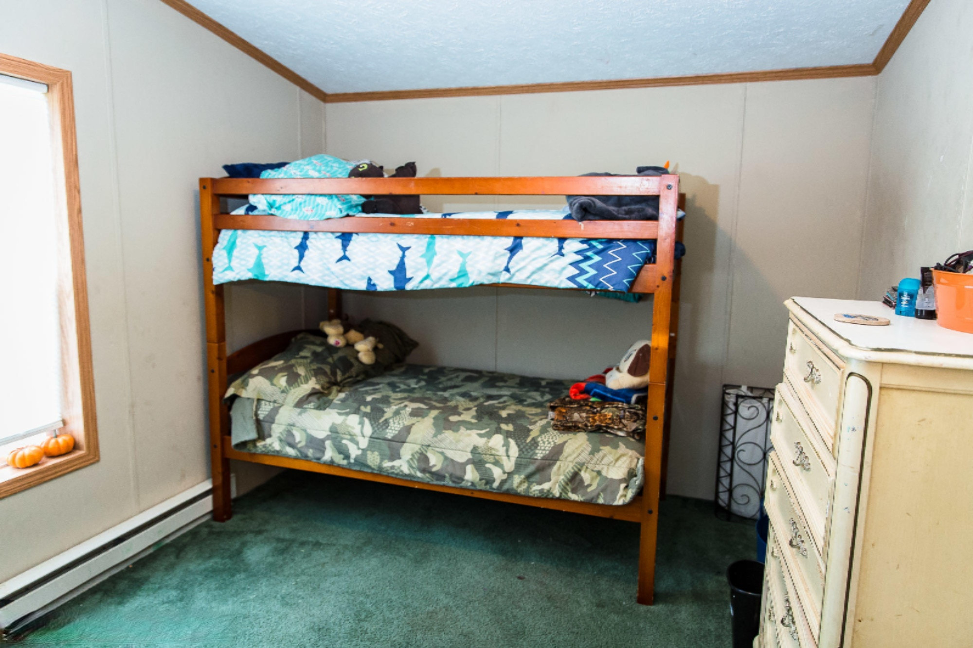 10146 East Tupper Lake Road Grand Ledge, MI 48837 - Photo 22 of 38 untitled-74