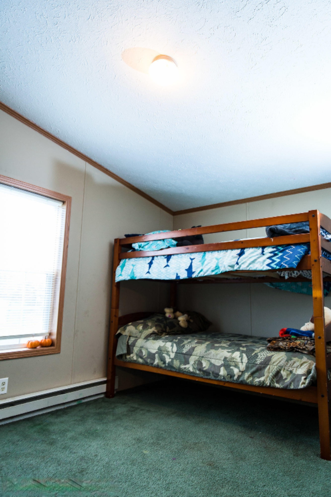 10146 East Tupper Lake Road Grand Ledge, MI 48837 - Photo 23 of 38 untitled-80
