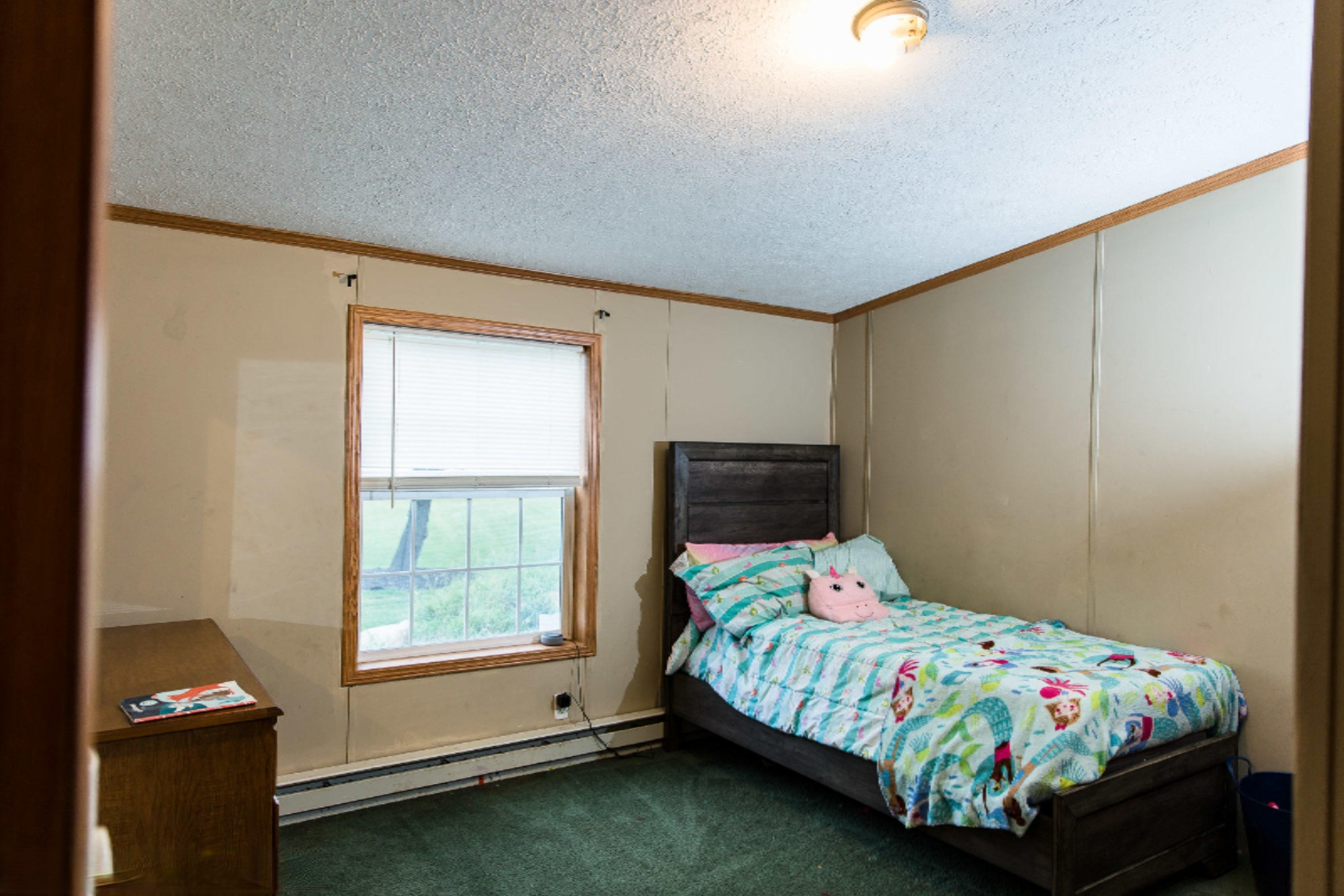 10146 East Tupper Lake Road Grand Ledge, MI 48837 - Photo 25 of 38 untitled-91