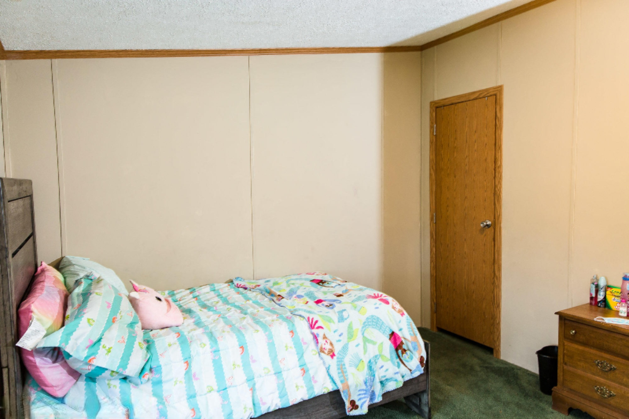 10146 East Tupper Lake Road Grand Ledge, MI 48837 - Photo 26 of 38 untitled-92