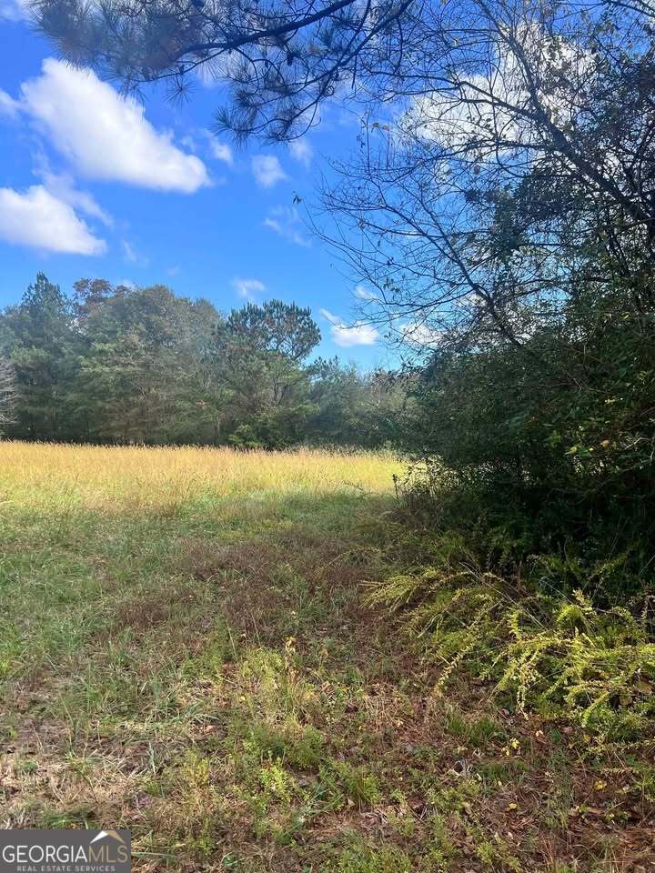 1759 Beaverdale Road Northeast Dalton, GA 30721 - Photo 5 of 9