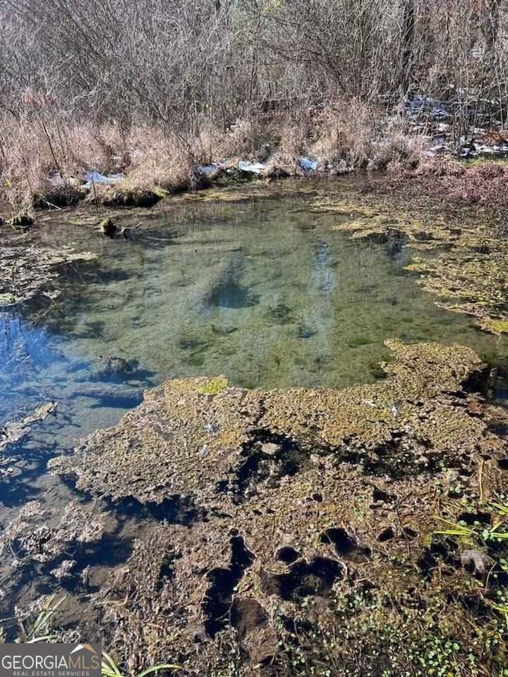 1759 Beaverdale Road Northeast Dalton, GA 30721 - Photo 6 of 9