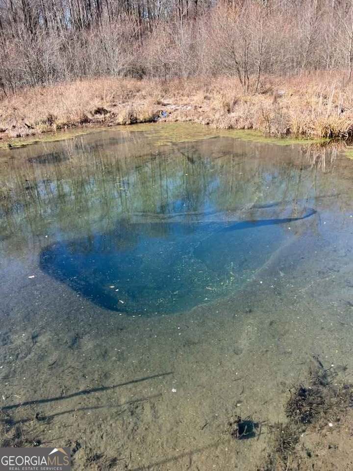 1759 Beaverdale Road Northeast Dalton, GA 30721 - Photo 7 of 9