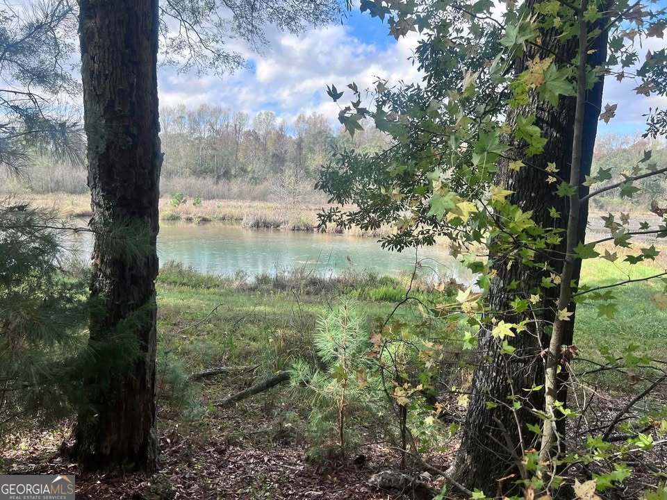 1759 Beaverdale Road Northeast Dalton, GA 30721 - Photo 9 of 9