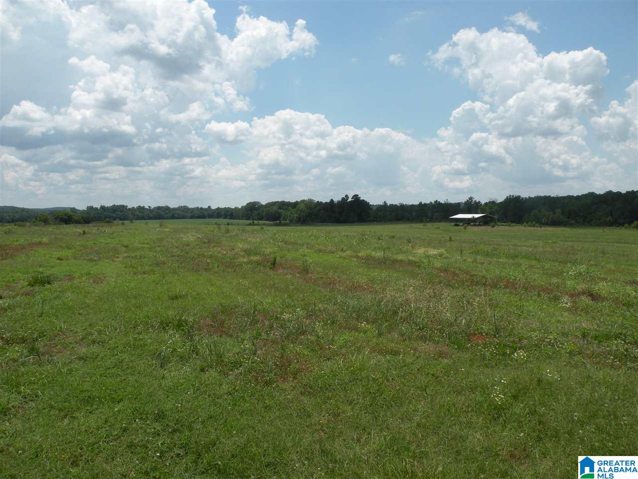 8215 Plant Road Alpine, AL 35014 - Photo 47 of 48 Gallery Image 47