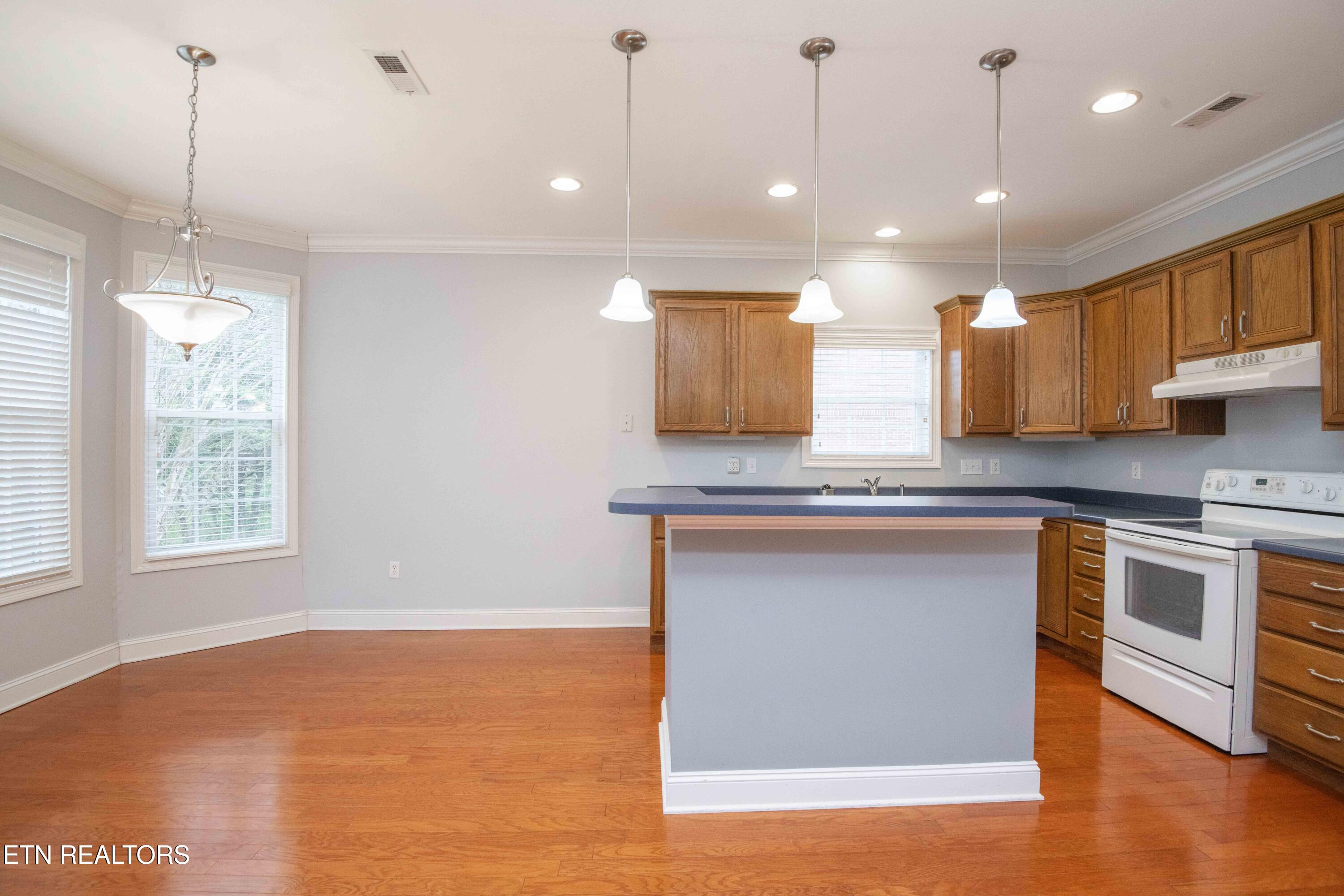 110 Waterston Way Clinton, TN 37716 - Photo 20 of 47 kitchen 7_1