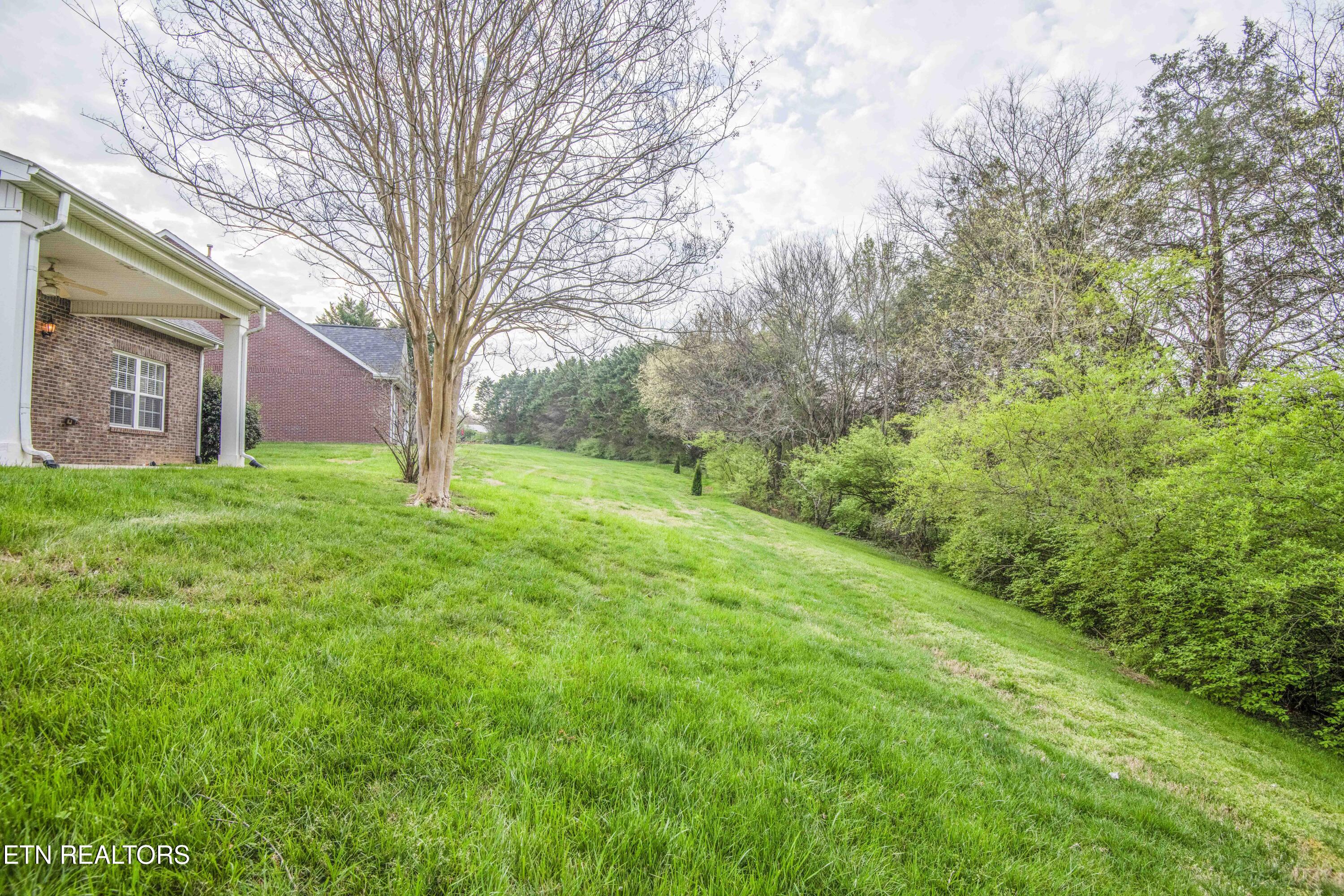 110 Waterston Way Clinton, TN 37716 - Photo 45 of 47 yard 1_1