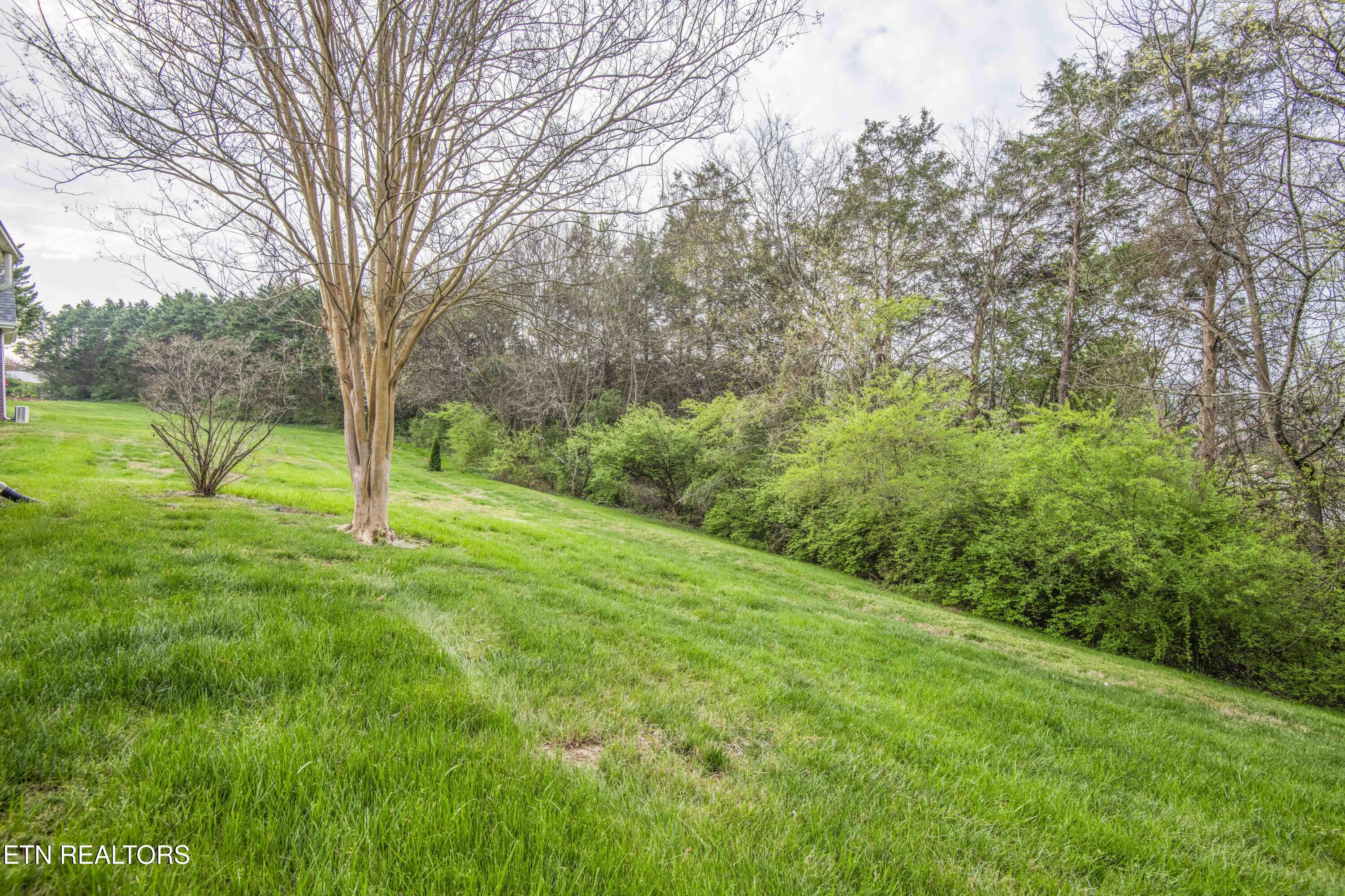 110 Waterston Way Clinton, TN 37716 - Photo 47 of 47 yard_1