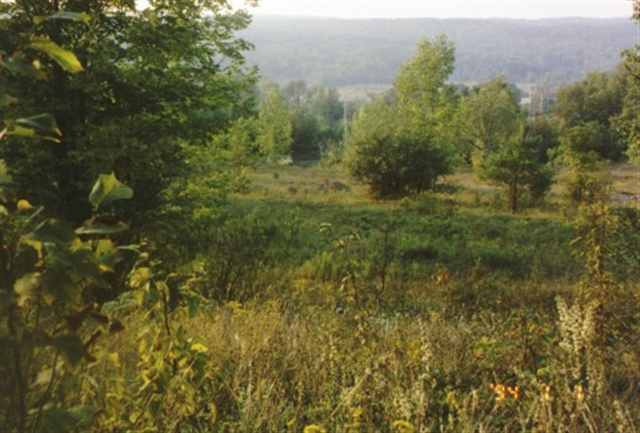 0 Hickory Tree Road Gilboa, NY 12076 - Photo 3 of 7 Photo 3