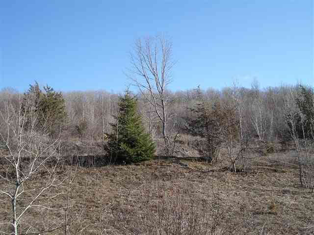 0 Hickory Tree Road Gilboa, NY 12076 - Photo 5 of 7 Photo 7