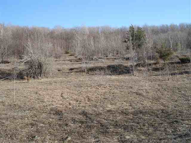 0 Hickory Tree Road Gilboa, NY 12076 - Photo 7 of 7 Photo 9