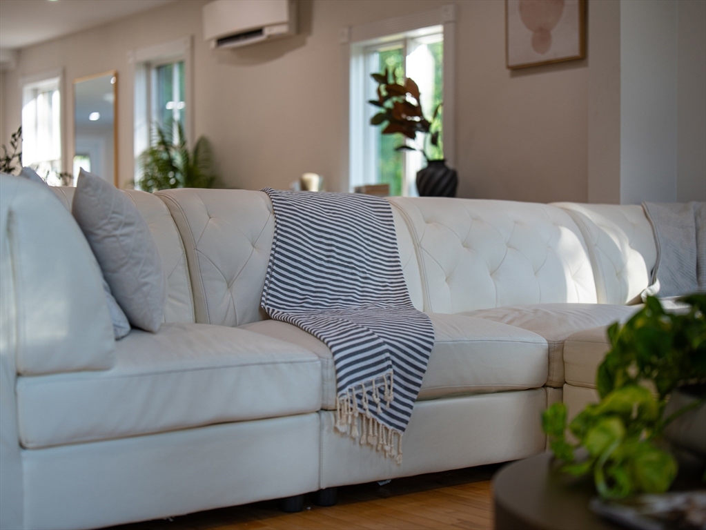 24 Miller Road Wilmington, MA 01887 - Photo 33 of 40 a living room with furniture and a potted plant