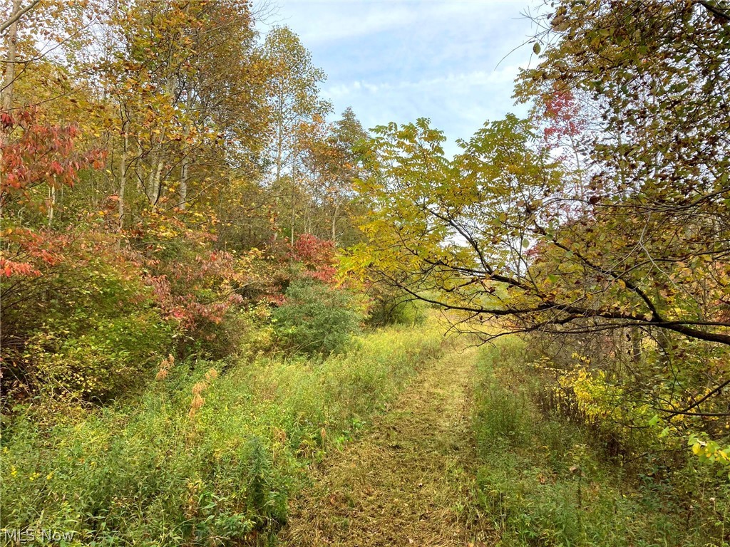 Tinney Road Dennison, OH 44621 - Photo 3 of 27