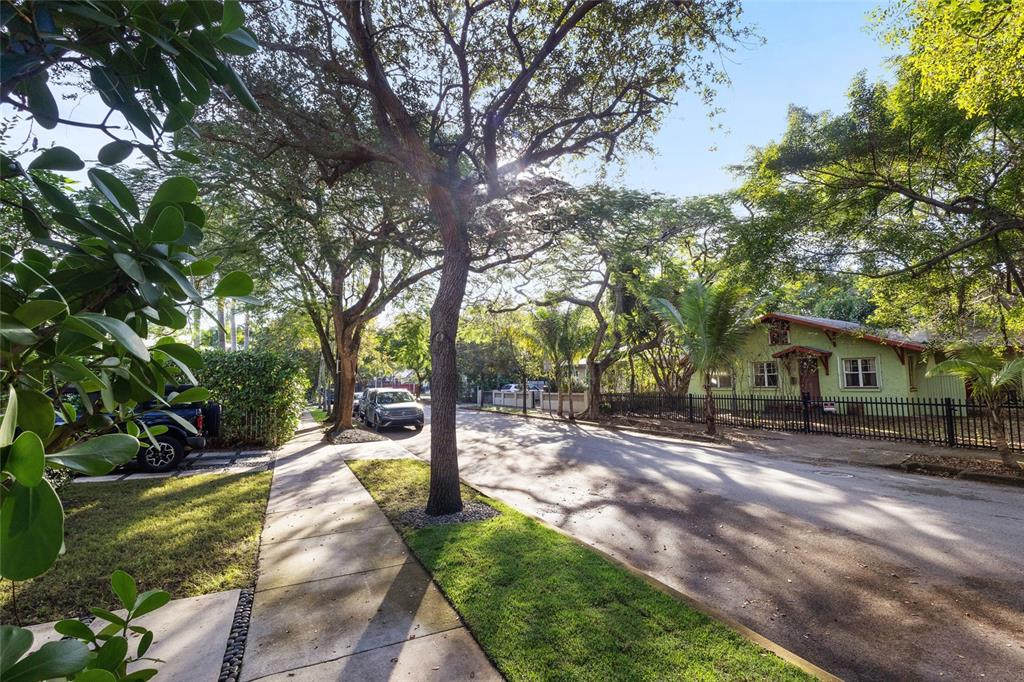 a view of a park with large trees