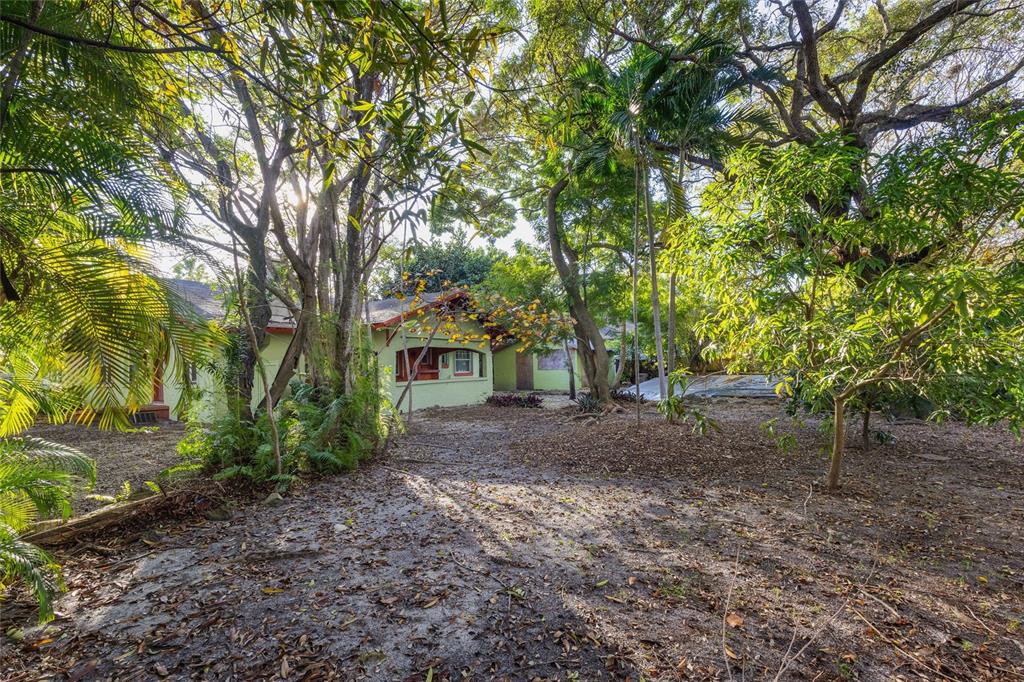 58 Northeast 48th Street Miami, FL 33137 - Photo 7 of 9 a view of a tree in front of a house