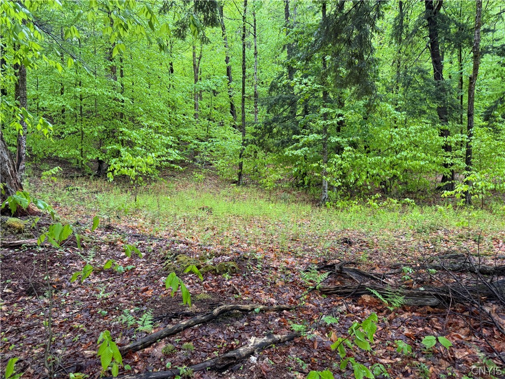 0 Hawkinsville Road Woodgate, NY 13494 - Photo 12 of 27