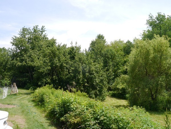 235 Wendell Road Shutesbury, MA 01072 - Photo 17 of 22 Gallery Image 17