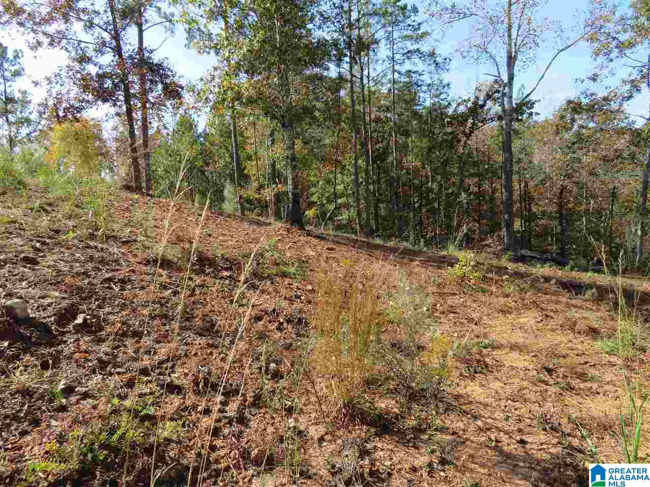 215 Eagle Mountain Road, Unit 4 Rockford, AL 35136 - Photo 9 of 11