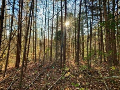 322 Coleman Road Soddy-Daisy, TN 37379 - Photo 7 of 10 Gallery Image 7