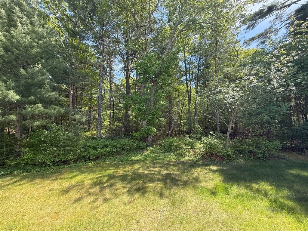 51 A Minot Avenue, Unit 1 Wareham, MA 02571 - Photo 25 of 26 a view of outdoor space and trees
