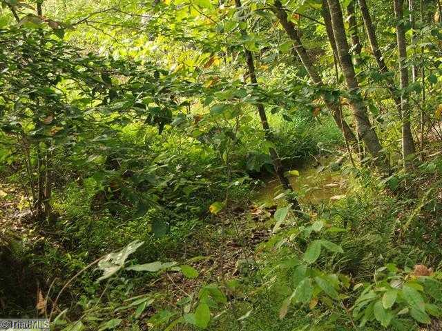 0 Reynolds Road Madison, NC 27025 - Photo 8 of 11 Land.