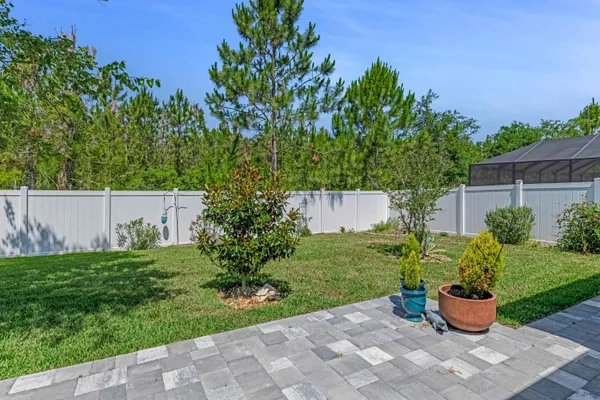 a view of a garden with potted plants