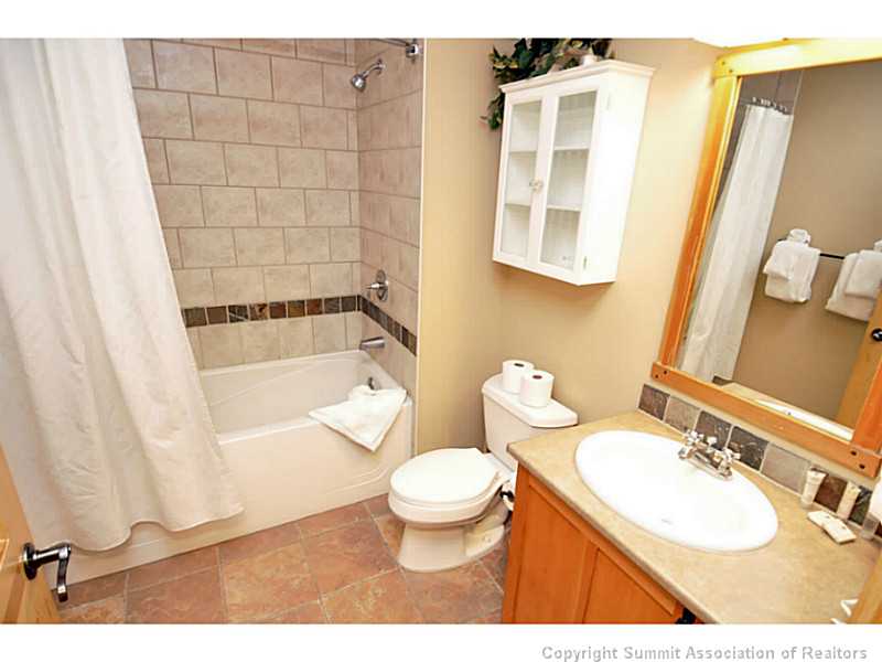 910 Copper Road, Unit 307 Frisco, CO 80443 - Photo 13 of 17 Bathroom.