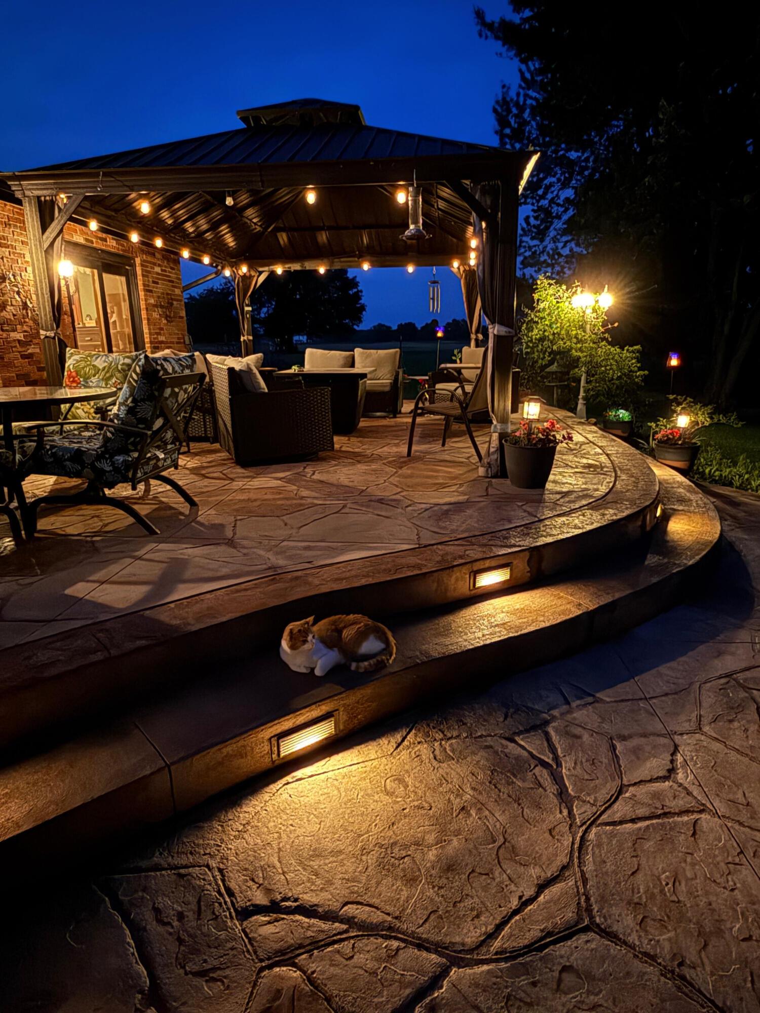 12580 Robins Road Westerville, OH 43082 - Photo 37 of 67 Barr_patio_cat