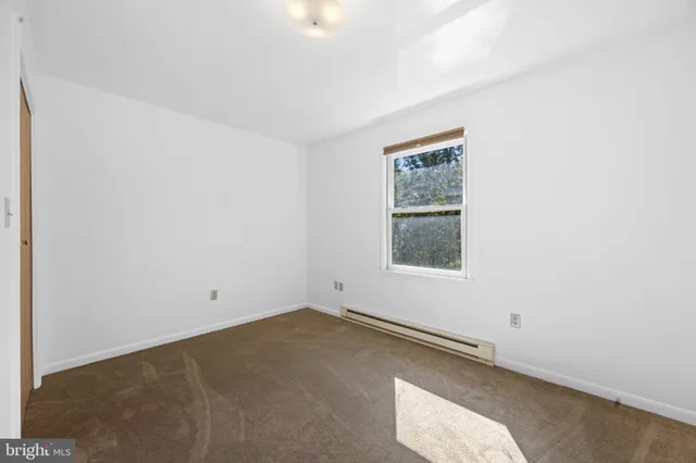 a view of a yard with plants and trees