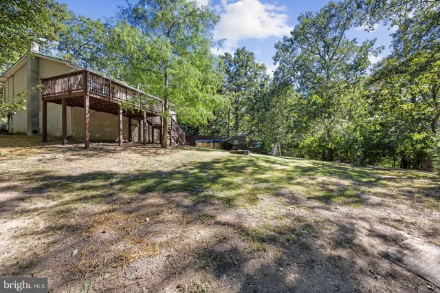 a view of a forest with trees in the background