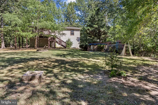 a view of a yard with plants and large trees