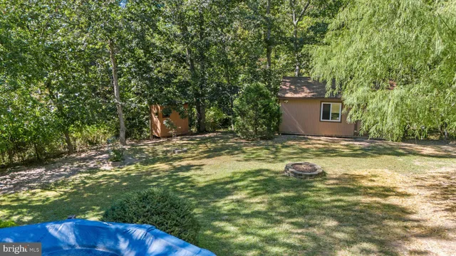 a view of a yard with a tree