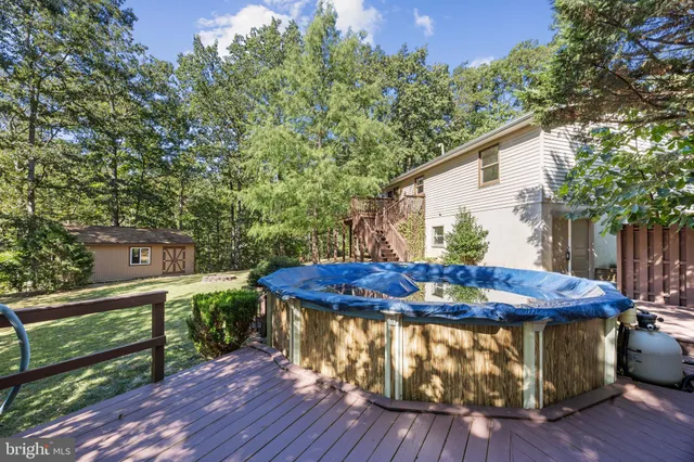 a view of a yard with plants and trees