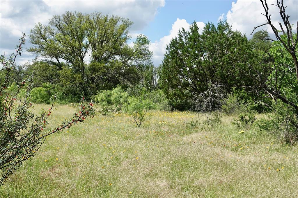 219 C R 550 Mullin, TX 76864 - Photo 21 of 37 a view of a yard with a tree