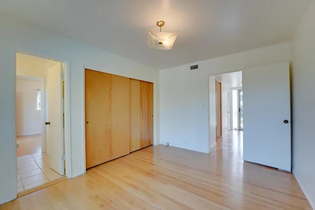 a view of a garden with plants