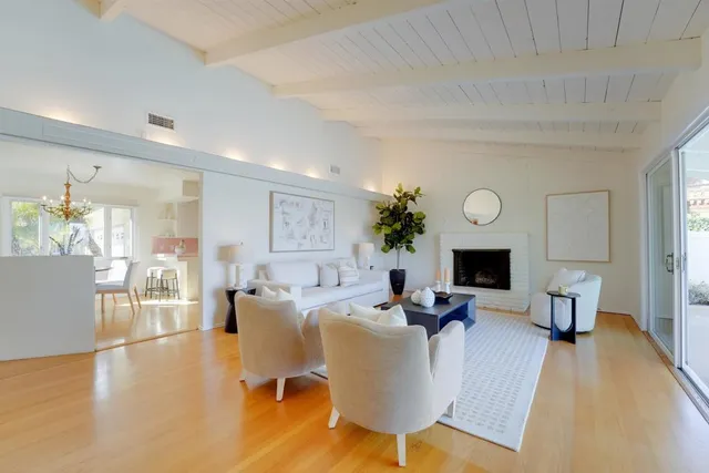 a living room with furniture or couch and a potted plant