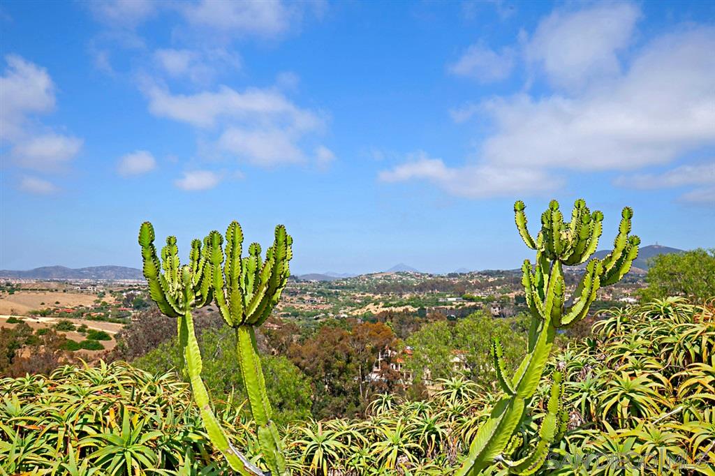 17279 Circa Oriente Rancho Santa Fe, CA 92067 - Photo 25 of 25