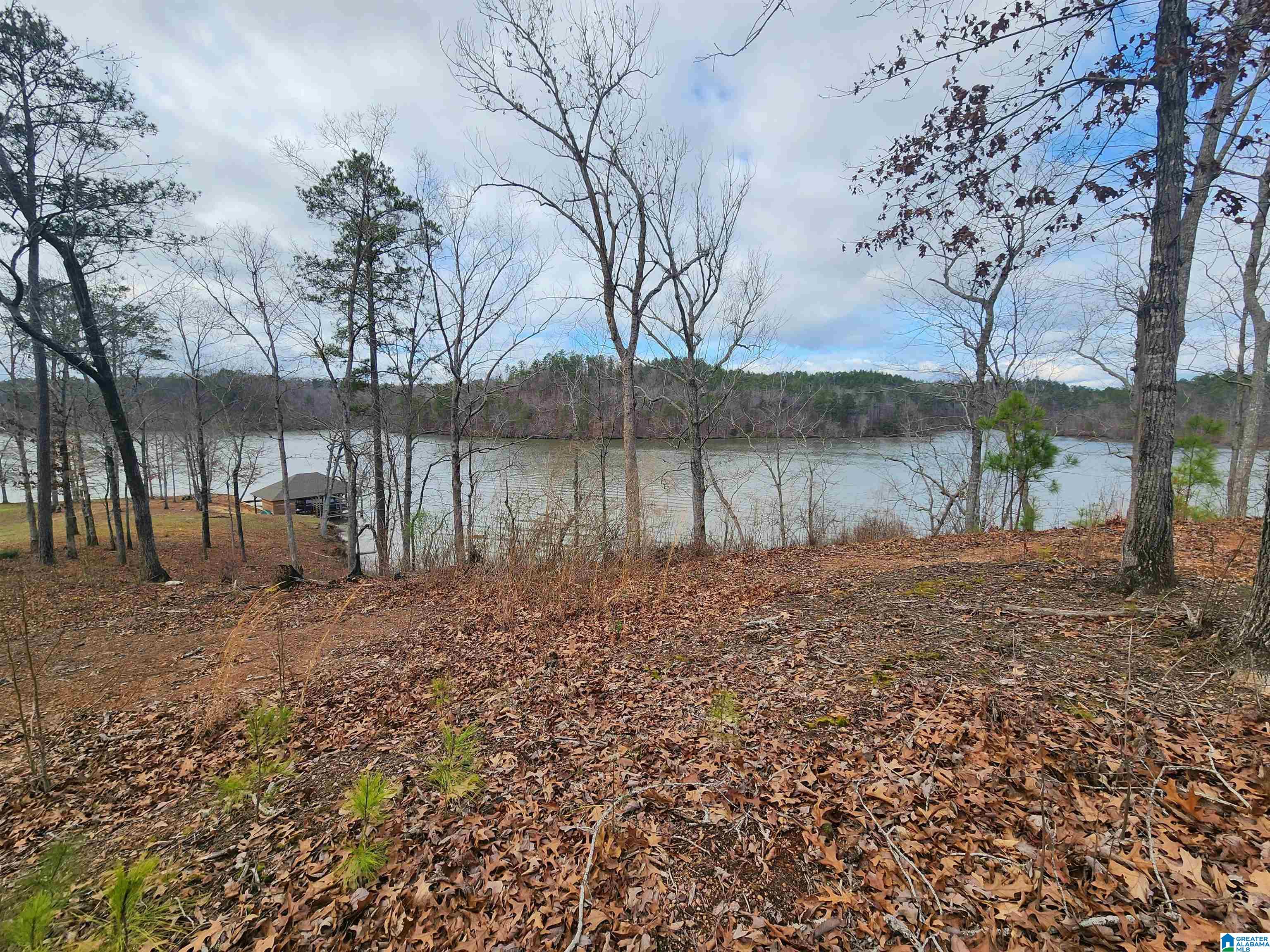 Lot 8 Eagle Mountain Road, Unit 8 Alexander City, AL 35010 - Photo 14 of 27