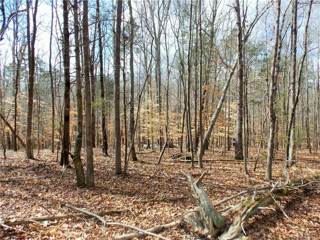 0 Simpson Road, Unit 2 Waxhaw, NC 28173 - Photo 8 of 17 Gallery Image 8