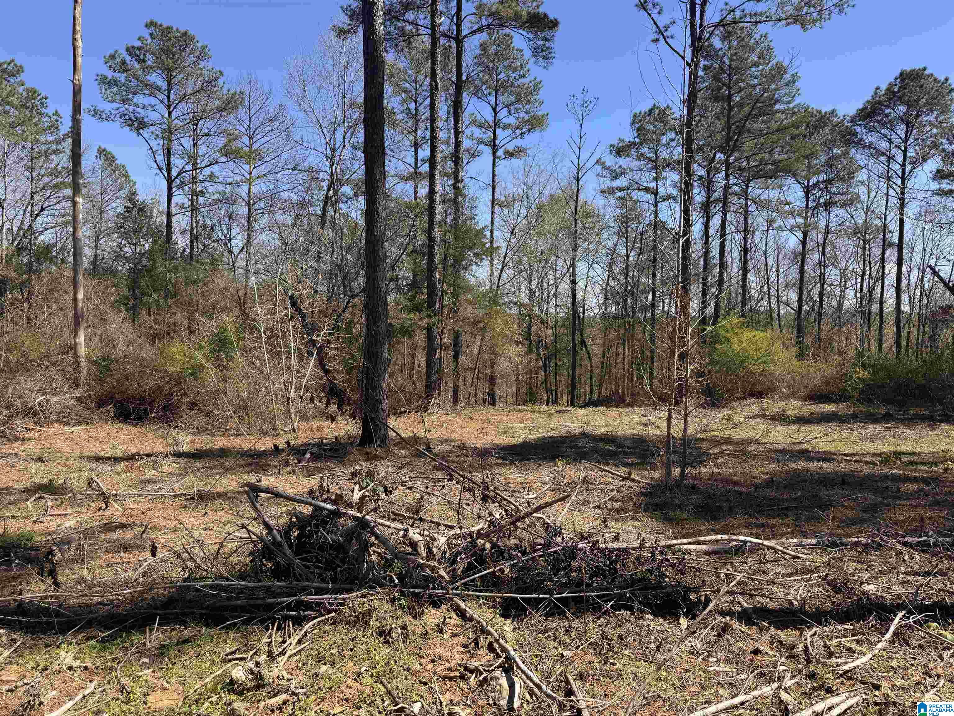 0 Finnell Road Northport, AL 35475 - Photo 3 of 6