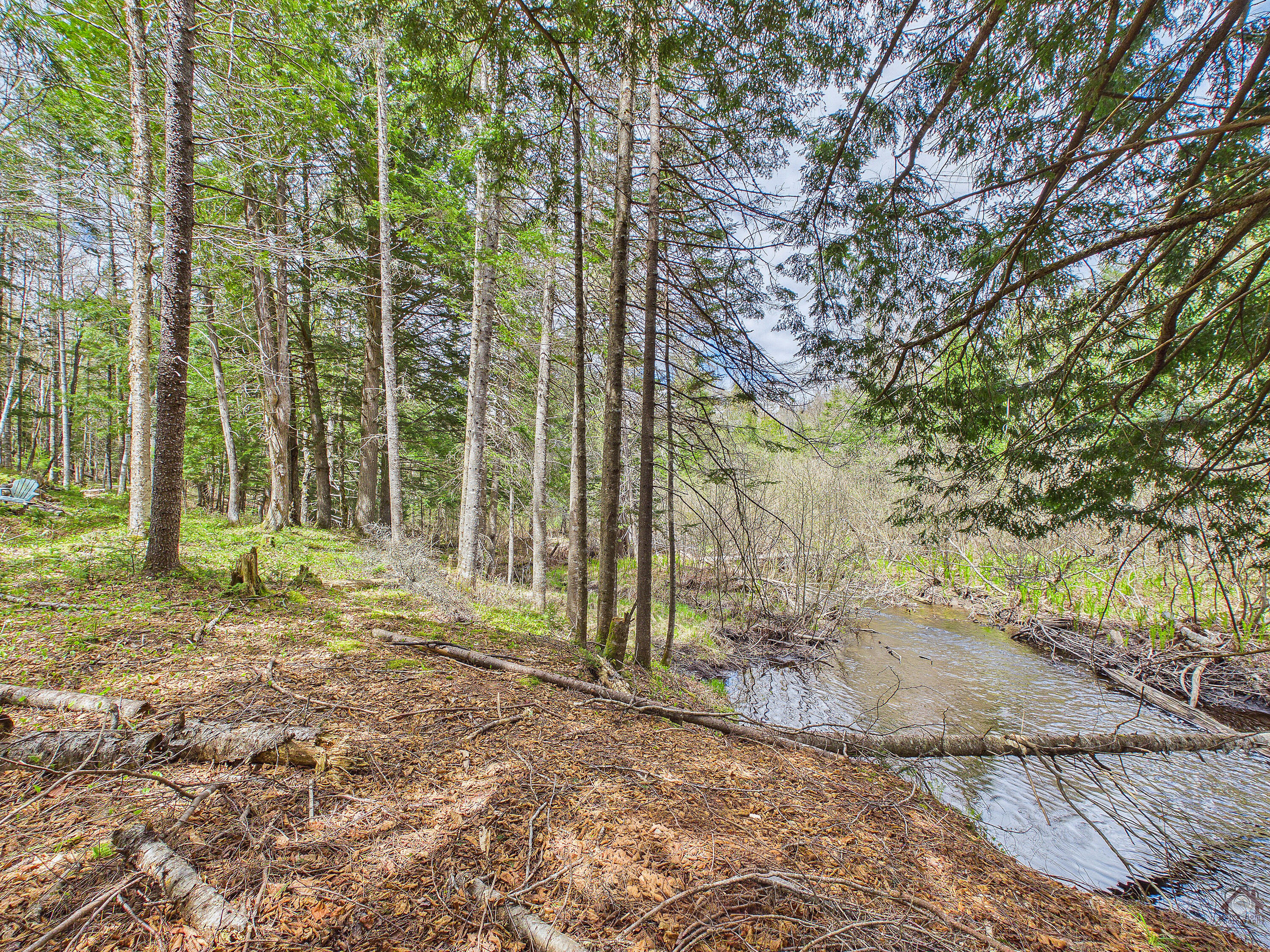 164 Indian Stream Road Kingfield, ME 04947 - Photo 36 of 60 77-P974VNN-LP-113