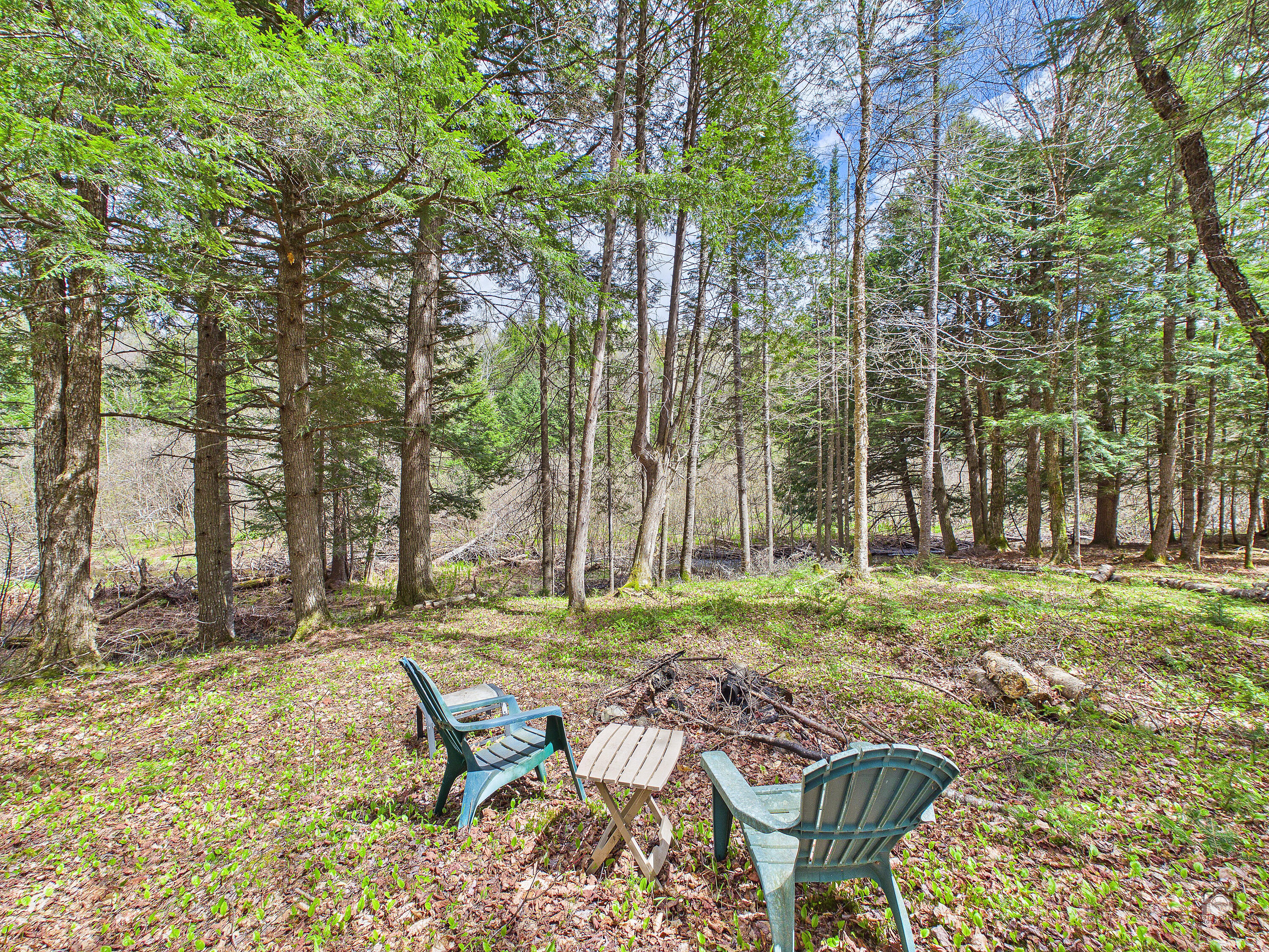 164 Indian Stream Road Kingfield, ME 04947 - Photo 37 of 60 77-P974VNN-LP-112