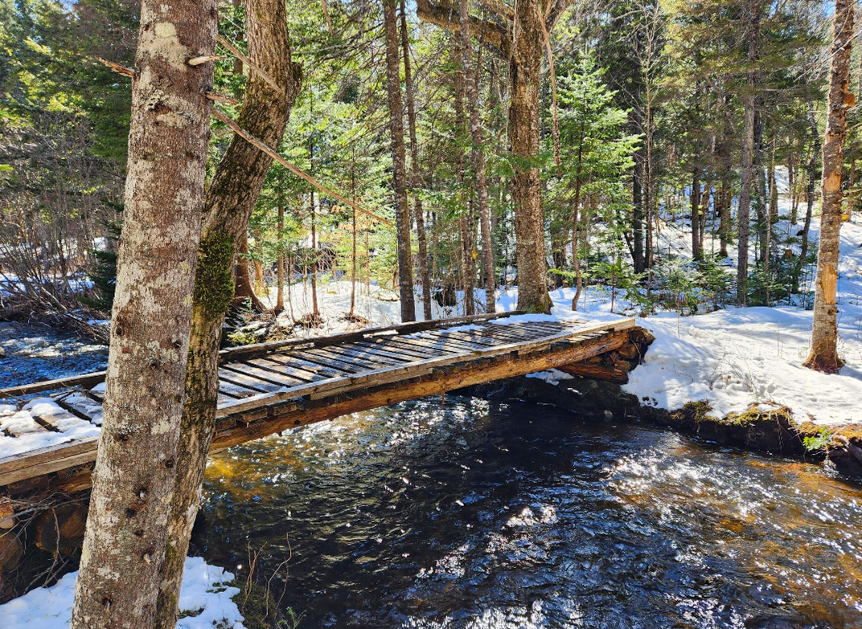 164 Indian Stream Road Kingfield, ME 04947 - Photo 39 of 60 77-P974VNN-CP-104