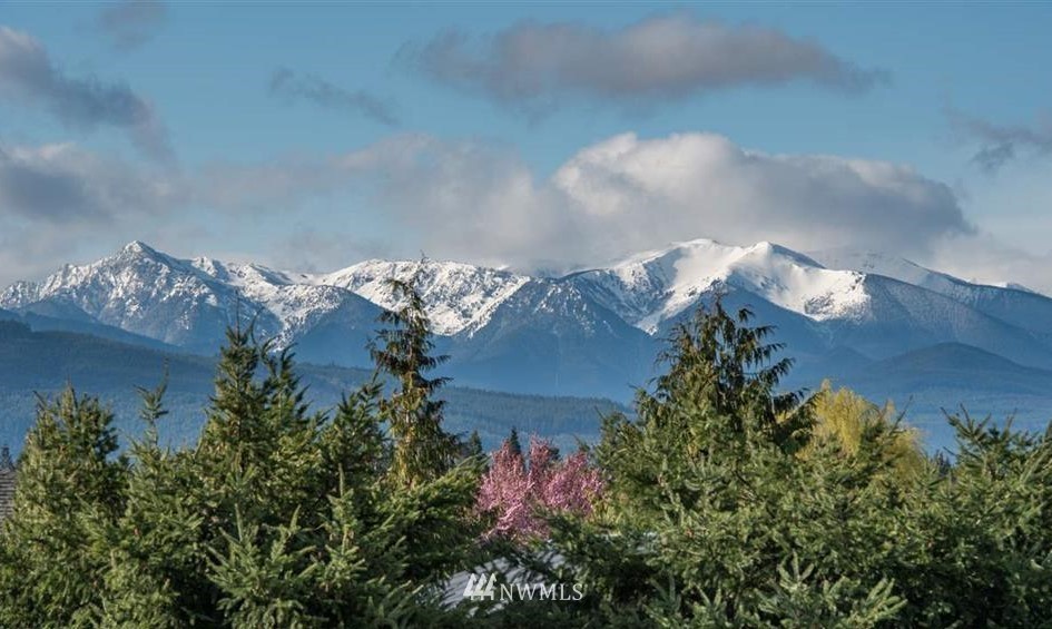 50 Todd Road Sequim, WA 98382 - Photo 2 of 25 Gallery Image 2