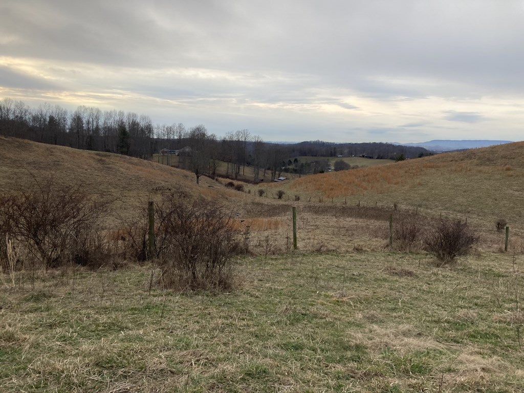 Tbd Widener Valley Road, Unit SEE REMARKS Glade Spring, VA 24340 - Photo 30 of 57 Gallery Image 30