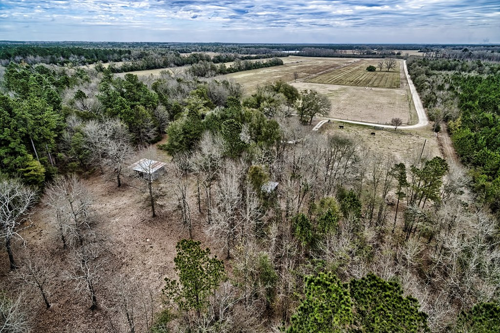 517 Sunshine Hl Road Olar, SC 29843 - Photo 35 of 36