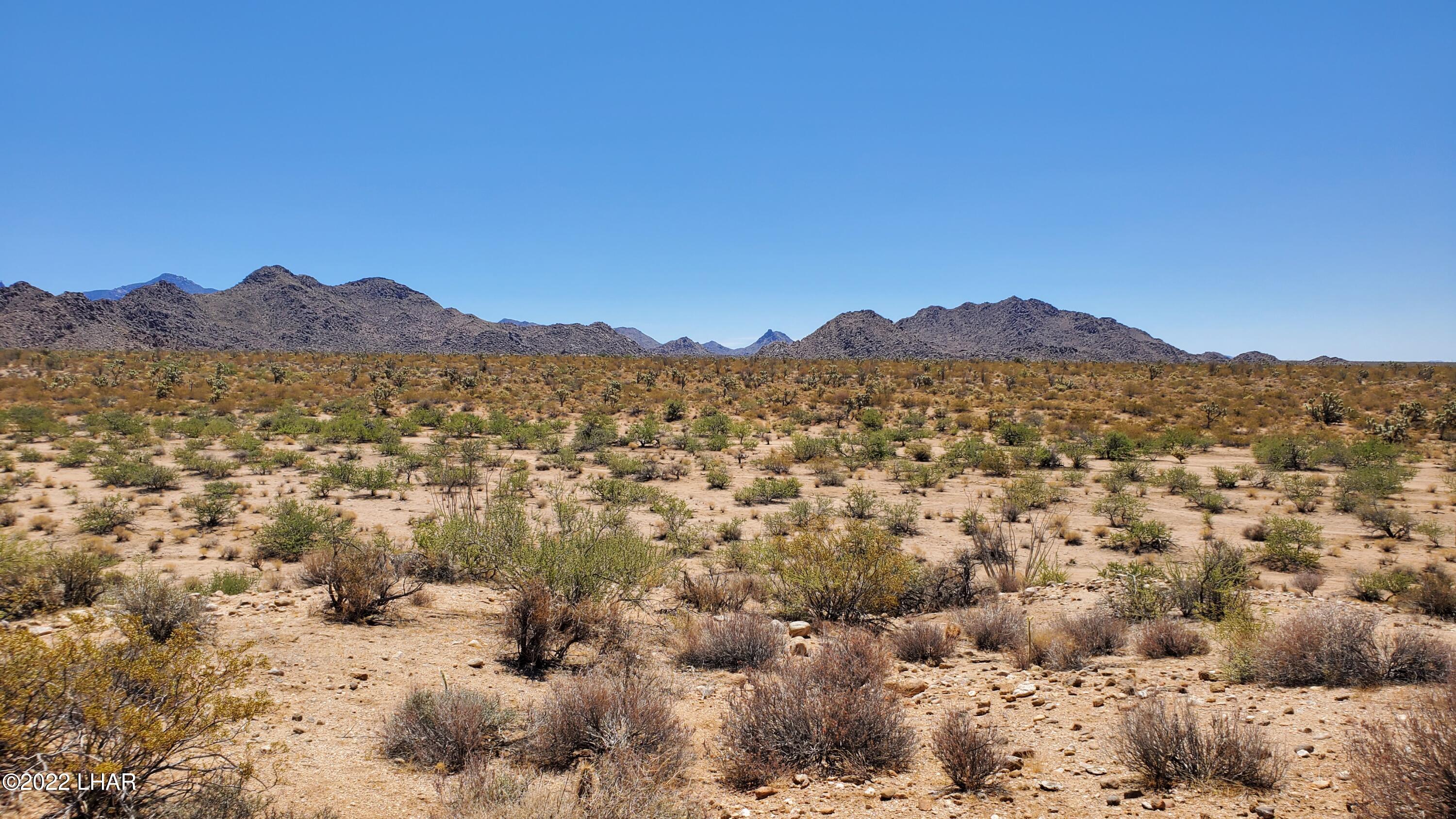 2719 South Wyatt Earp Road Yucca, AZ 86438 - Photo 15 of 27 20220707_113221