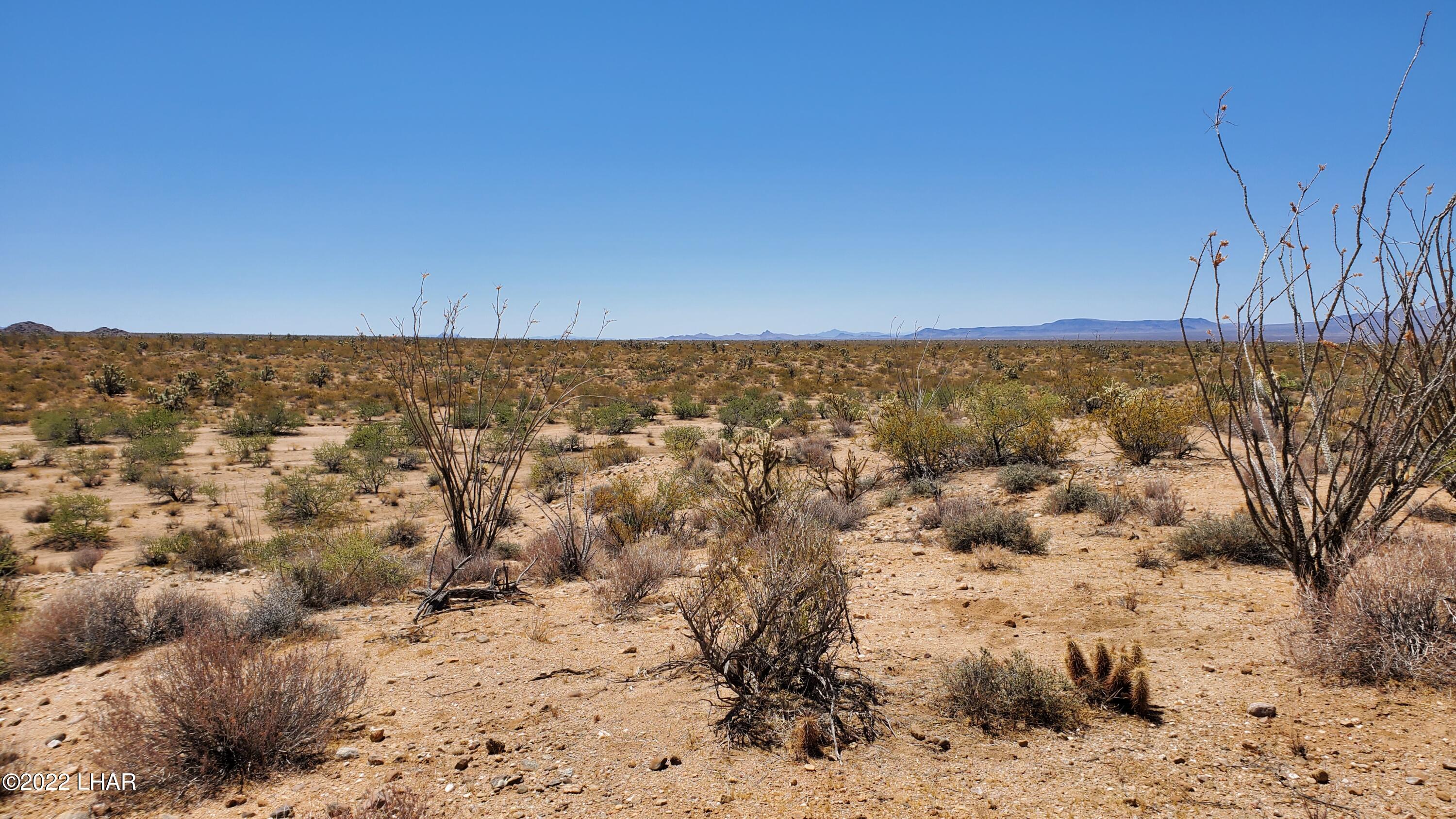 2719 South Wyatt Earp Road Yucca, AZ 86438 - Photo 16 of 27 20220707_113224